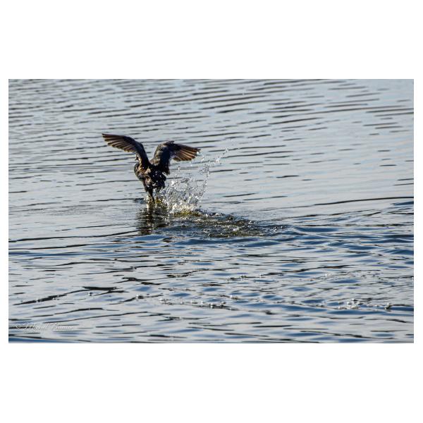 PHOTO84, CLUB, 84 , LUBERON